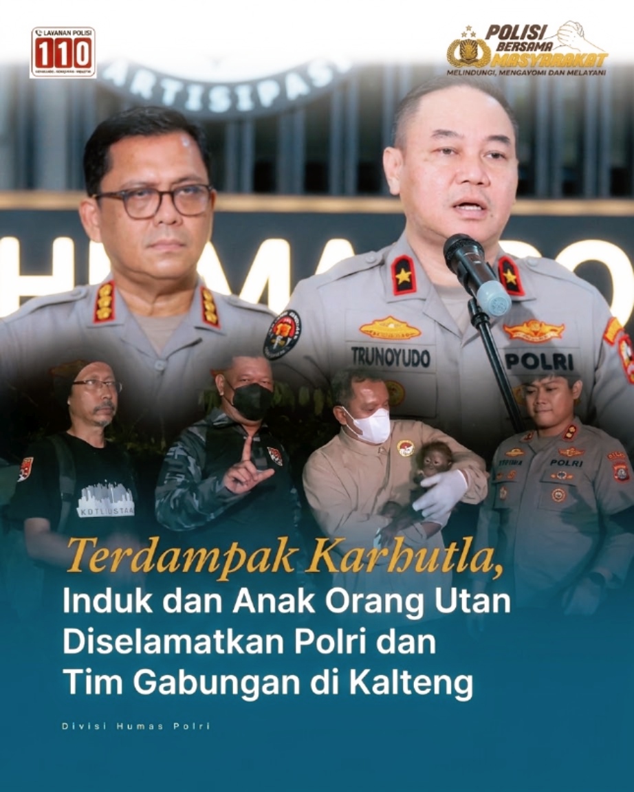 Tim Polri dan BKSDA evakuasi induk-anak orang utan terjebak kebakaran hutan di Desa Kandan, Kotawaringin Timur, Kalteng, 23 Oktober 2026